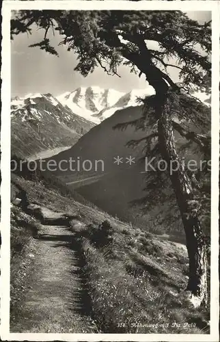 Piz Palue Hoehenweg  Kat. Piz Palue