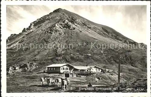 Strelapass Berghaus Schiahorn Kuehe Kat. Strelapass