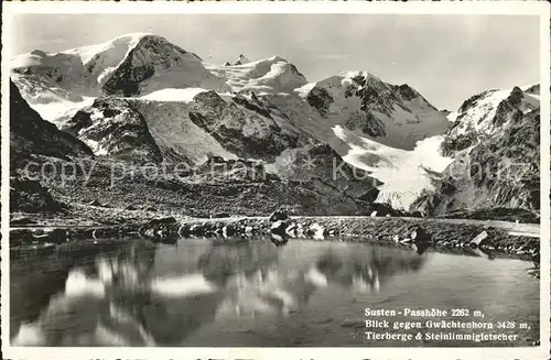 Sustenpass mit Graechtenhorn Tierberge und Steinlimmigletscher Kat. Susten