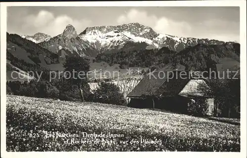 Rochers de Naye Les Narcisses Dents de Jaman vue Plaiades Kat. Rochers de Naye