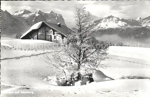 Hasliberg Winterpanorama Bueffet Bruenig Kat. Meiringen