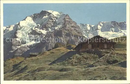 Lauterbrunnental Alphuette mit Jungfrau Gletscherhorn Ebnefluh Kat. Lauterbrunnen