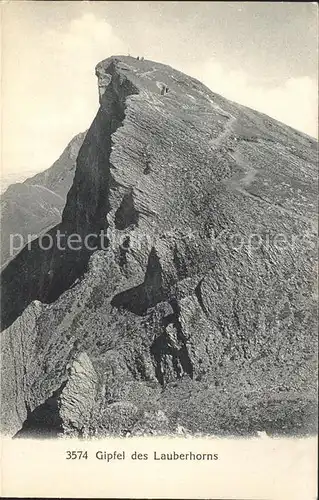 Lauberhorn Gipfelblick Kat. Lauberhorn