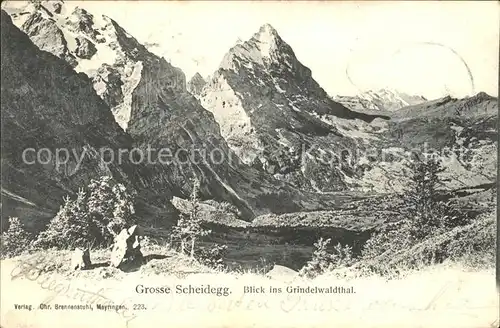 Grosse Scheidegg Blick ins Grindelwaldthal Kat. Scheidegg Grosse