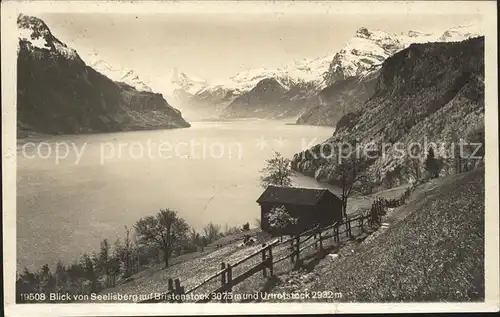 Seelisberg UR Blick auf Bristenstock und Urirotstock / Seelisberg /Bz. Uri