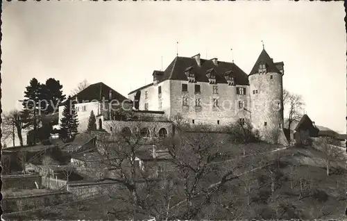 Gruyeres FR Le Chateau Kat. Gruyeres