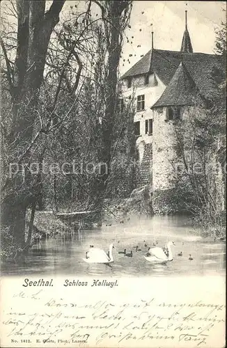 Seethal Schloss Hallwyl Schwanenteich Kat. uebersee