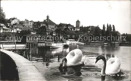 Murten Morat Hafenpartie Schwaene Kat. Murten