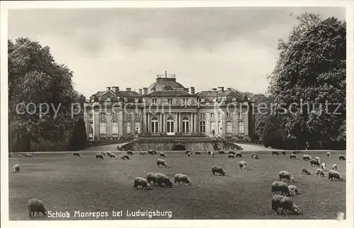 Ludwigsburg Schloss Monrepos Schafe  Kat. Ludwigsburg