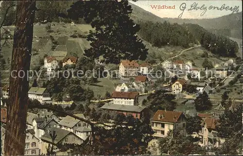 Wildbad Schwarzwald Ortsansicht Kat. Bad Wildbad