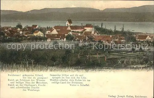 Insel Reichenau Ortsansicht mit Bodenseepanorama Kat. Reichenau Bodensee