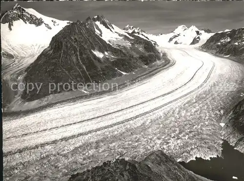 Eggishorn Gr Aletschgletscher Dreieckhorn Jungfrau Moench Eiger Kat. Eggishorn