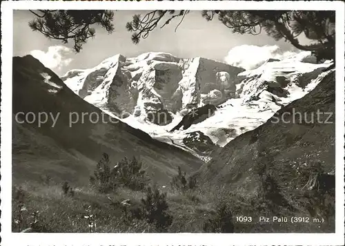 Piz Palue Panorama Kat. Piz Palue