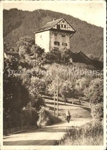 Altstaetten SG Burg Altstaetten Kat. Altstaetten