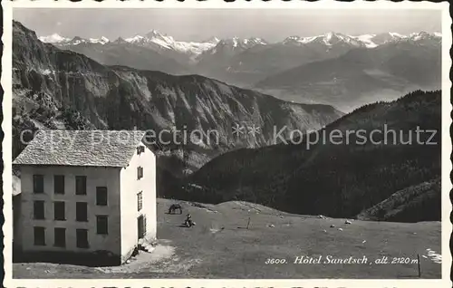 Sanetschhorn Hotel Sanetsch Pferde Alpen Kat. Sanetschhorn