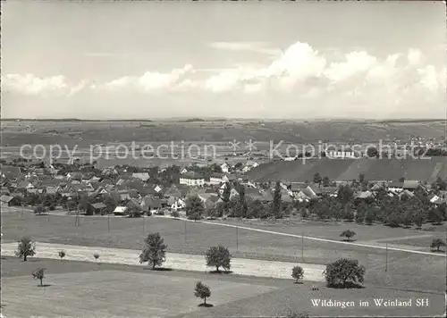 Wilchingen Ortsansicht Weinland Kat. Wilchingen