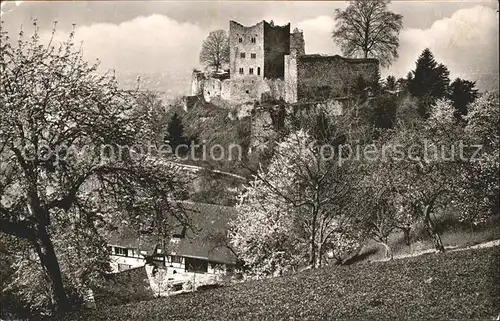 Oberkirch Baden Schauenburg Schlosswirtschaft Kat. Oberkirch