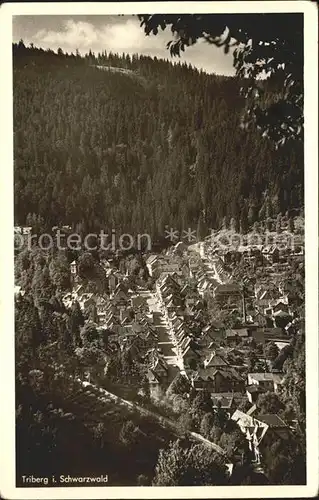 Triberg Schwarzwald Blick v. Hohen Kat. Triberg im Schwarzwald