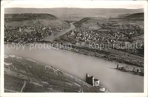 Bingen Rhein Ruine Ehrenfels Bingerbrueck Kat. Bingen am Rhein