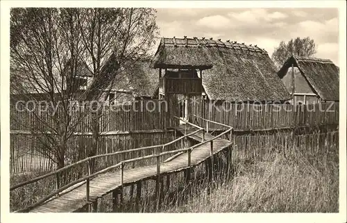 Unteruhldingen Freilichtmuseum Landtor Wehrturm Palisade Kat. Uhldingen Muehlhofen