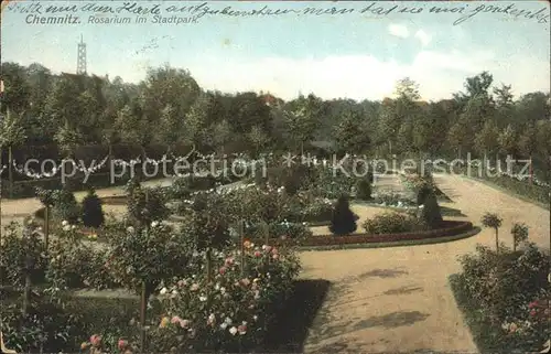 Chemnitz Rosarium Stadtpark Kat. Chemnitz