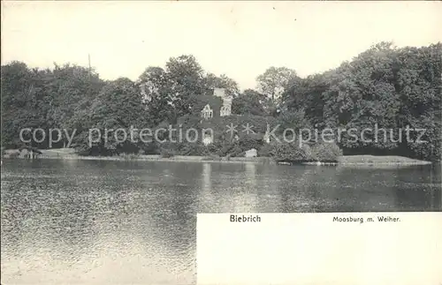 Biebrich Wiesbaden Mosburg Weiher / Wiesbaden /Wiesbaden Stadtkreis