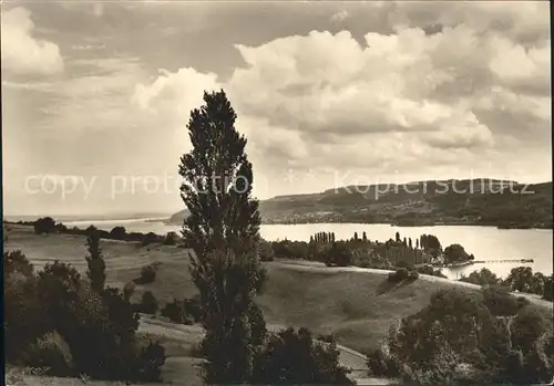 Wangen Bodensee  Kat. Markdorf