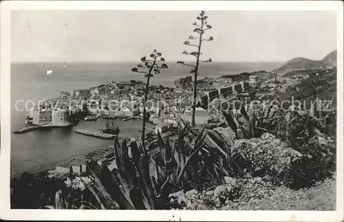 Dubrovnik Ragusa Blick auf die Altstadt Hafen Kat. Dubrovnik