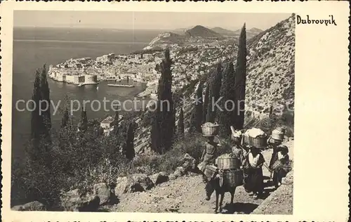 Dubrovnik Ragusa Panorama Esel Lasttier Kat. Dubrovnik