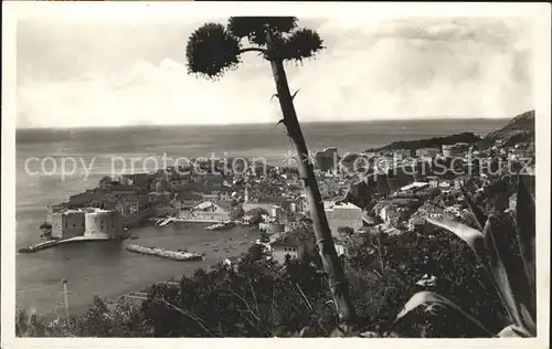 Dubrovnik Ragusa Panorama Festung Kat. Dubrovnik