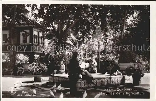 Cordoba Jardines de la Agricultura Kat. Cordoba