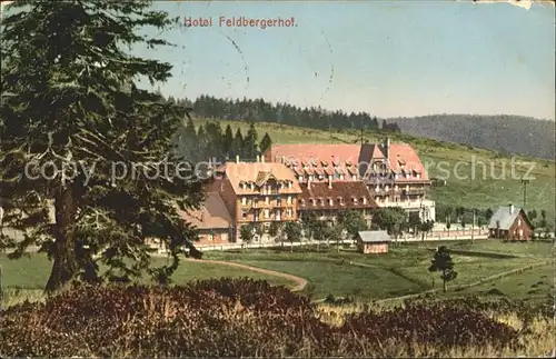 Feldberg Schwarzwald Hotel Feldbergerhof Kat. Feldberg (Schwarzwald)
