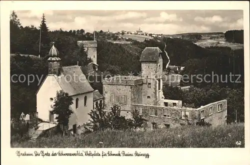 Pforzheim Ruine Steinegg Kat. Pforzheim