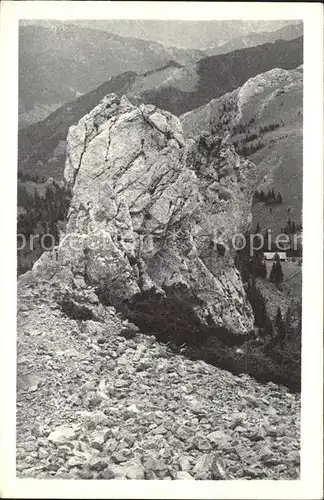 Puchberg Schneeberg Sparbacherhuette Fadensteig Kat. Puchberg am Schneeberg