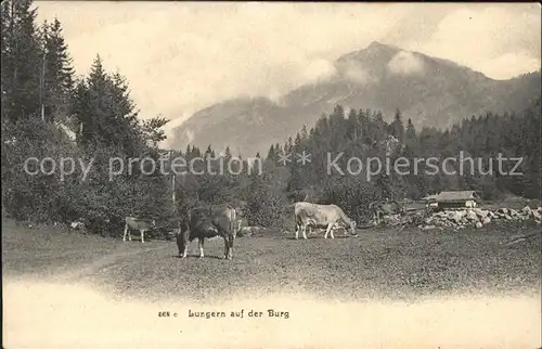 Lungern Burg Kuehe Kat. Lungern