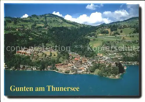 Gunten Fliegeraufnahme Thunersee  Kat. Gunten