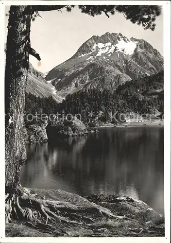 Maloja GR Am Cavlocciosee Blick gegen P. del Rossi / Maloja Graubuenden /Bz. Maloja