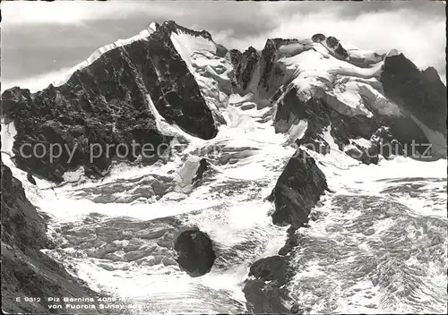 Piz Bernina v. Fuorcla Surley  Kat. Piz Bernina