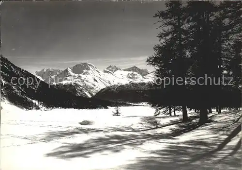 Samedan Bernina Gruppe Skispuren Kat. Samedan