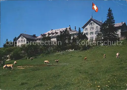 Weissenstein SO Hotel Kurhaus  Kat. Weissenstein Solothurn