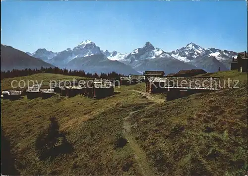 Wiesen Albula Alp mit Tinzenhorn und Piz Mitgel Kat. Wiesen