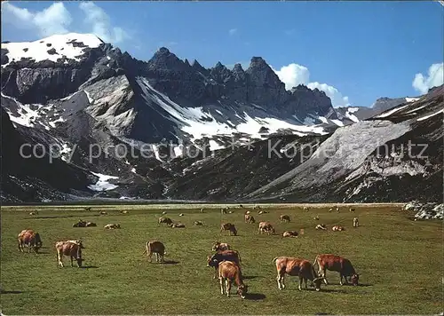 Flims Dorf Segnesboden mit Tschingelhorn und Segnespass Kat. Flims Dorf