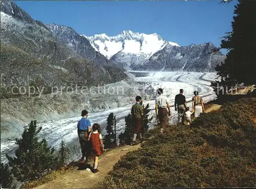 Aletschgletscher Naturschutzgebiet Aletschwald Riederalp Wannenheim Kat. Aletsch Grosser