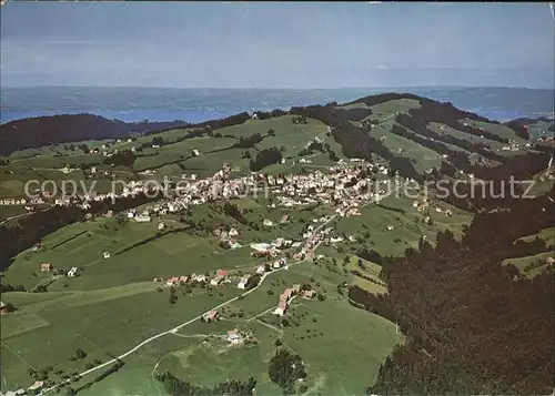 Rehetobel Fliegeraufnahme mit Bodensee Kat. Rehetobel