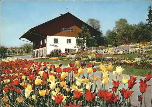 Arni AG Selma Hof Versuchs  und Schaugarten Kat. Arni AG