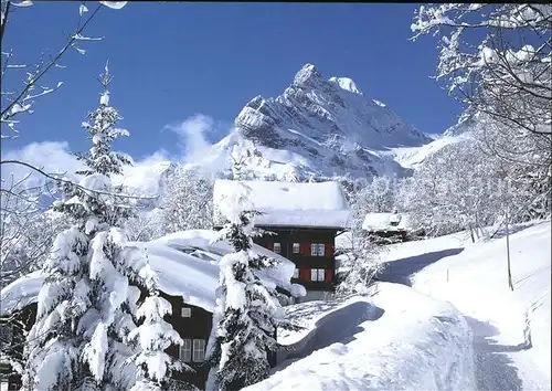 Braunwald GL mit Ortstock Kat. Braunwald