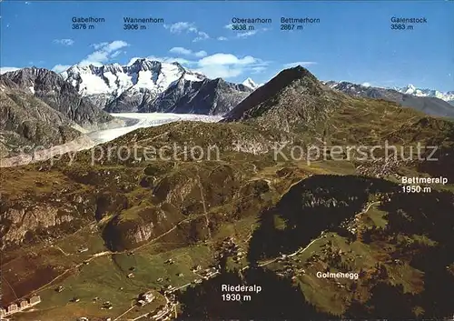 Aletschgletscher Fliegeraufnahme mit Riederalp Golmegg Bettmeralp  Kat. Aletsch Grosser