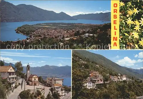 Orselina TI mit Lago Maggiore / Orselina /Bz. Locarno
