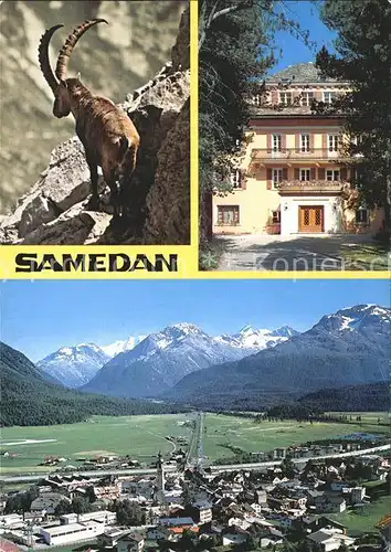 Samedan Steinbock Hotel Panorama Kat. Samedan