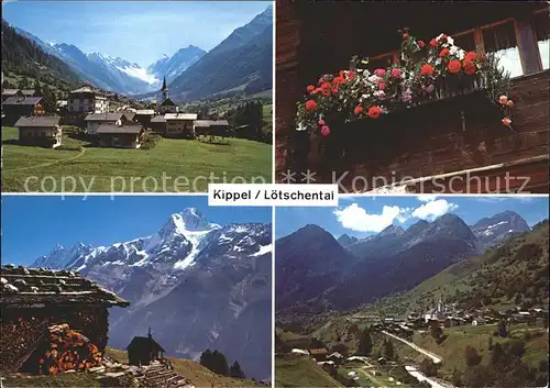 Kippel Loetschental Loetschenluecke Hockenalp Geranium Ferdenrothorn Kat. Kippel